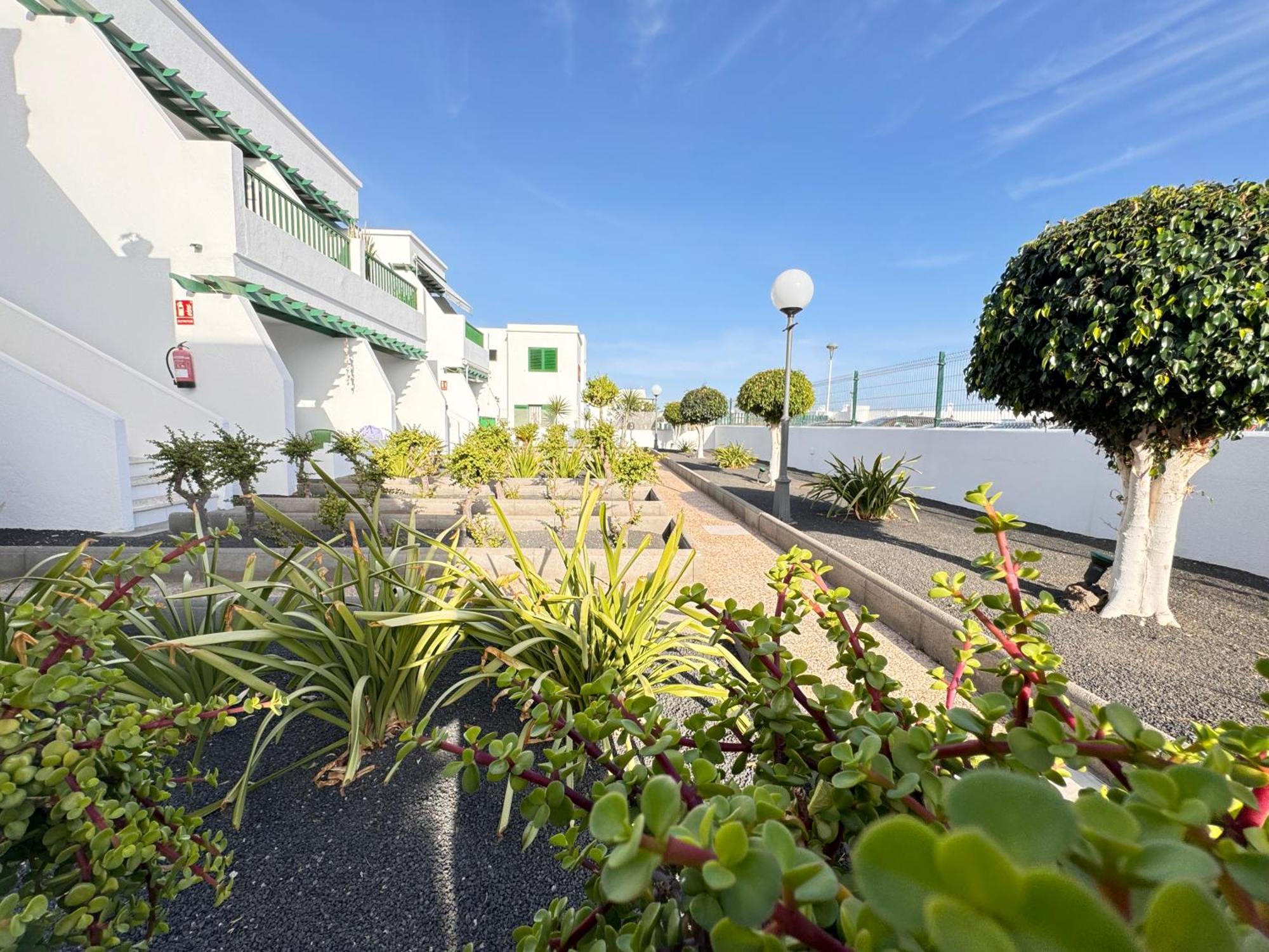 Las Mimosas Beach Sol Puerto del Carmen  Exterior foto